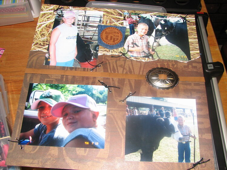 page two of steer show