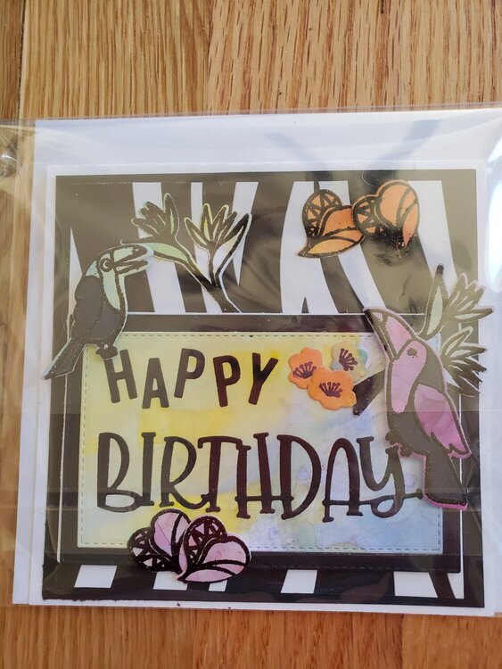 toucan happy birthday die cut