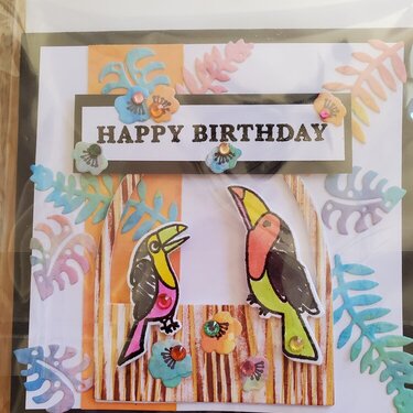 happy birthday toucans