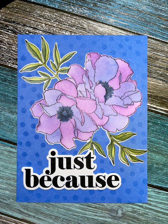 Concord &amp; 9th Blended petals cards