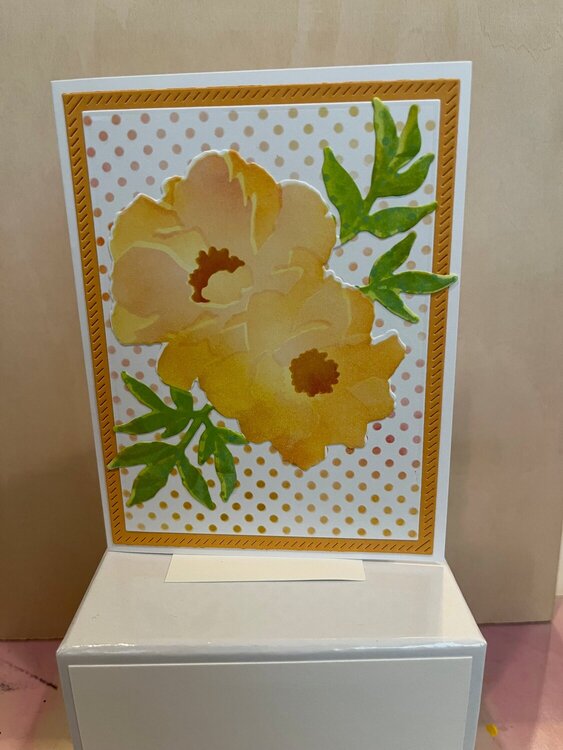 Concord &amp; 9th Blended petals cards