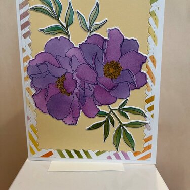 Concord & 9th Blended petals cards