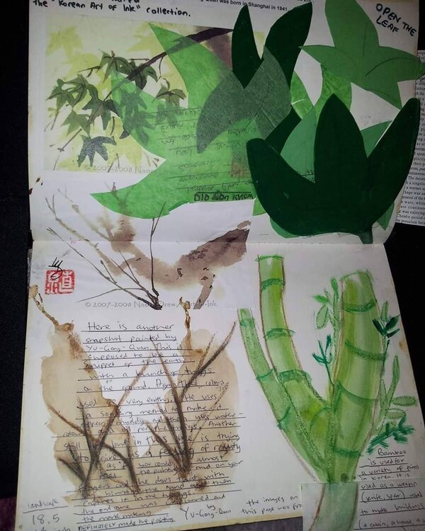Botanical Illustration (3)