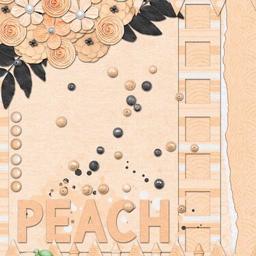 Peach Color Card