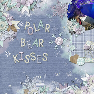 Polar Bear Kisses