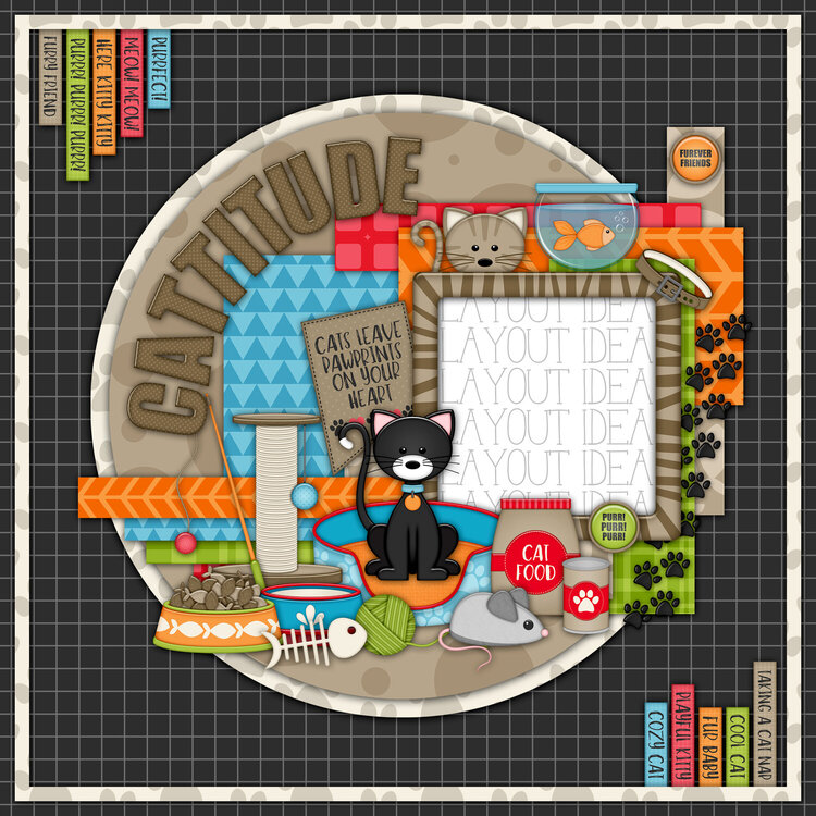 Cattitude (Layout idea)