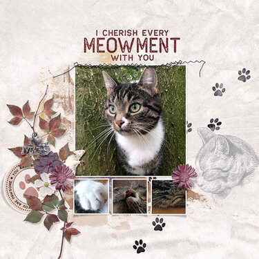 I cherish every meowment with you