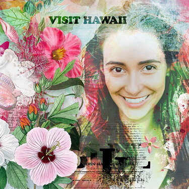 visit Hawaii