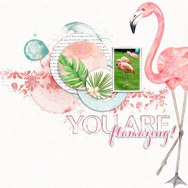 You are Flamazing!