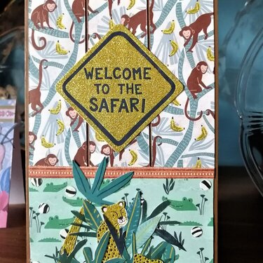Welcome to the Safari
