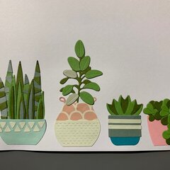 Sizzix plants