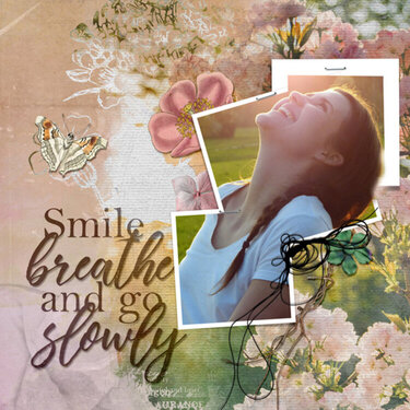 smile breathe and go slowly