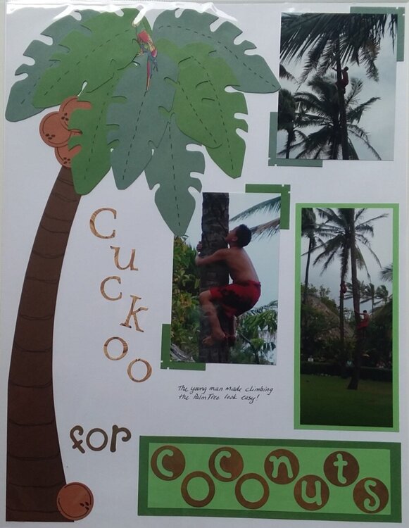 Cuckoo for Coconuts
