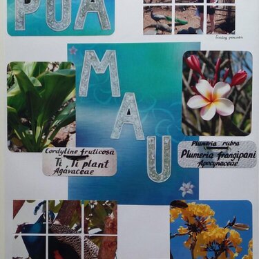 Pua Mau Plants and Peacocks