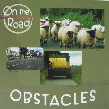 Obstacles On the Road