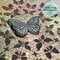 Distressed Butterfly Card