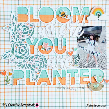 BLOOM where you are planted