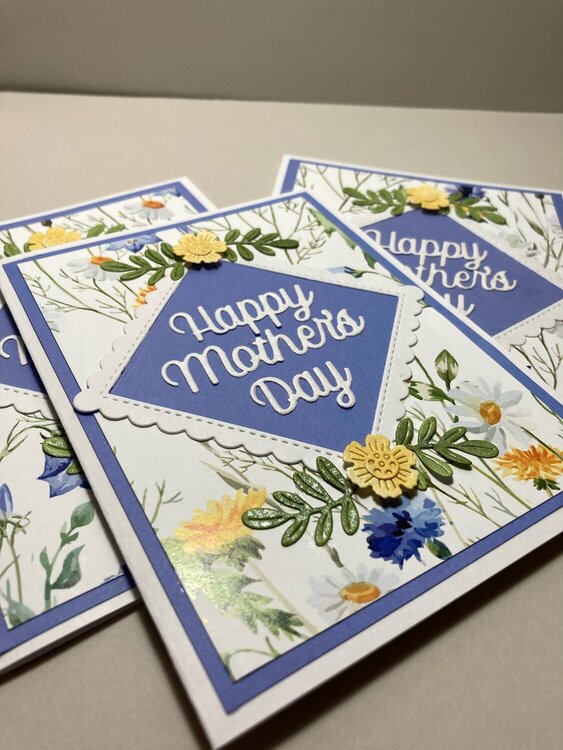 Mothers Day Cards for the mothers in my family