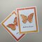 Simply butterfly cards