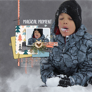 Magical Moments in the Snow