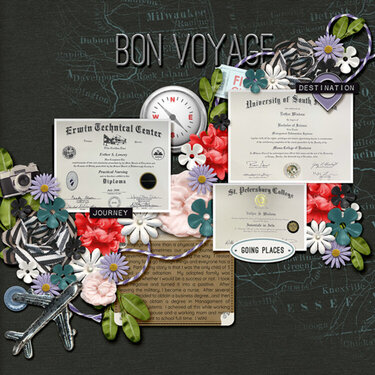 Bon Voyage a Different Meaning