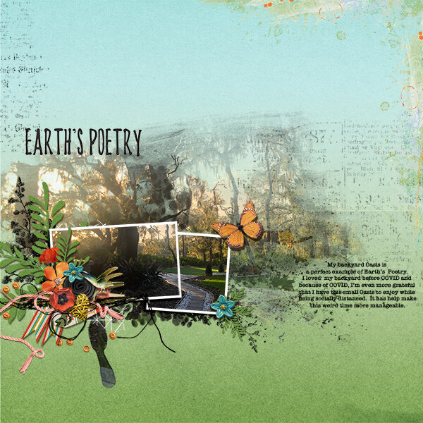 My Backyard- Earth&#039;s Poetry