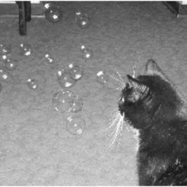Sly - Watching Bubbles