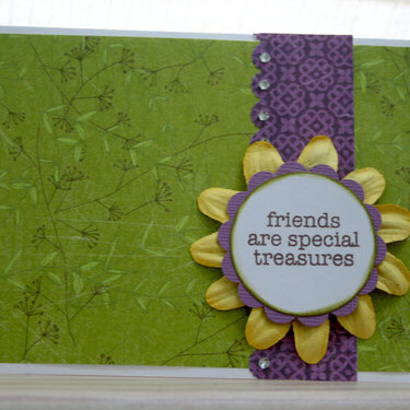 Friends are Special Treasures