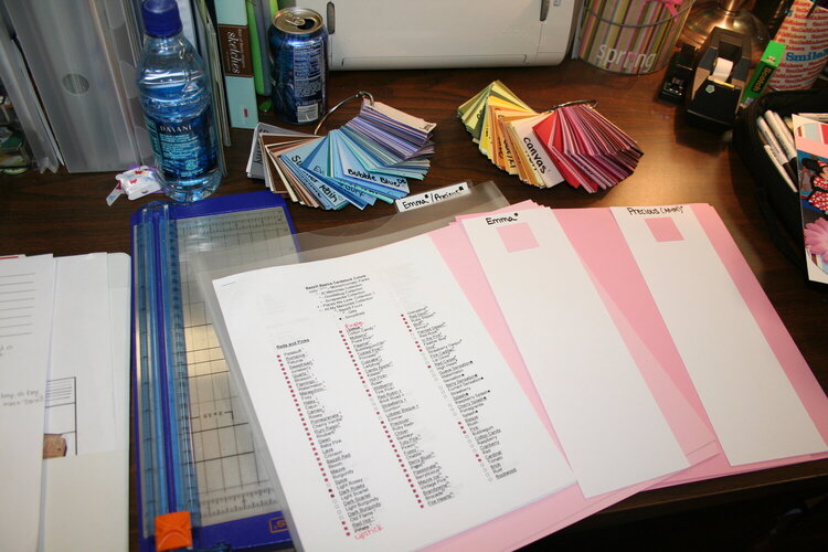 Cardstock Organization/Obsession