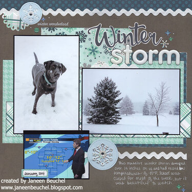 Winter Storm