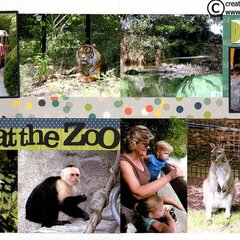 A Day at the Zoo