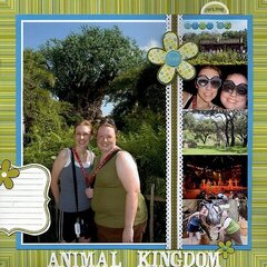 Animal Kingdom 2007
