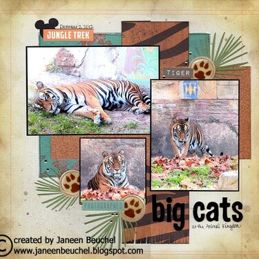 Big Cats - Animal Kingdom