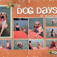 The Dog Days of Summer