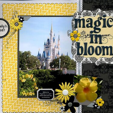 Magic in Bloom