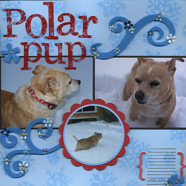 Polar Pup