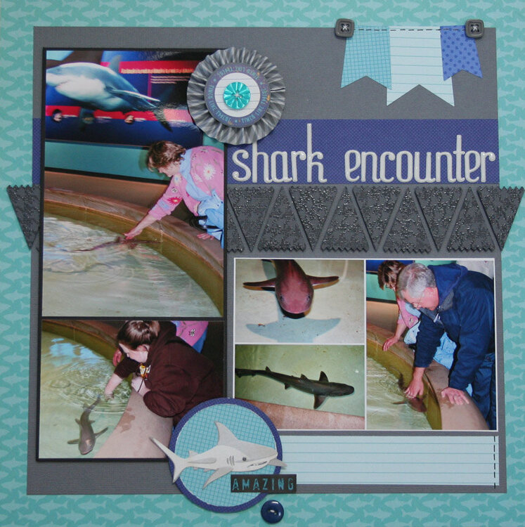 Shark Encounter