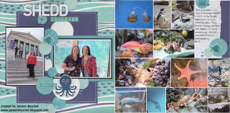 Shedd Aquarium 2014