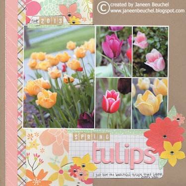 Spring Tulips 2013