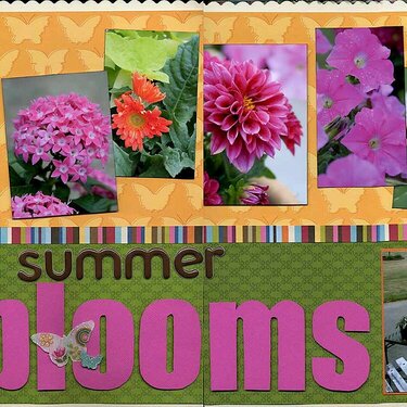 Summer Blooms