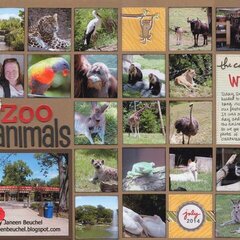 Zoo Animals