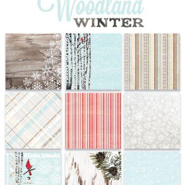 Woodland Winter by TPC Studio for Colorbok