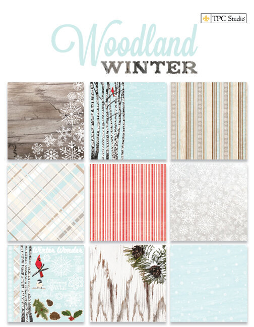 Woodland Winter by TPC Studio for Colorbok