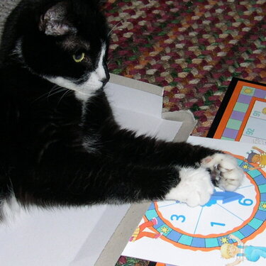 Chucklehead Playing Chutes and Ladders