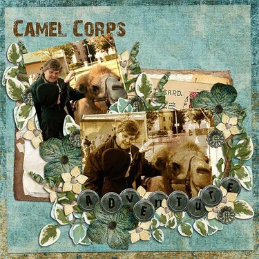 Camel Corps Adventure
