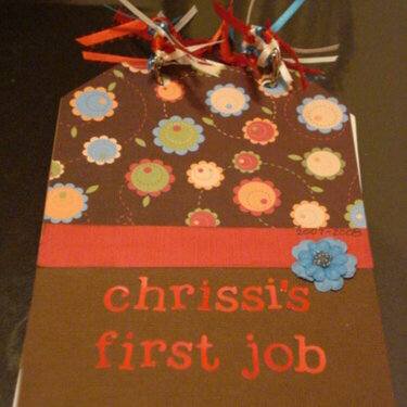 chrissi&#039;s first job mini