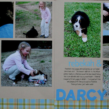 Darcy Puppy