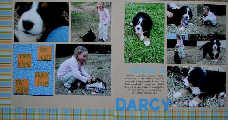 Darcy Puppy