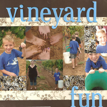 Vineyard Fun