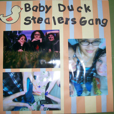 baby  duck stealers gang